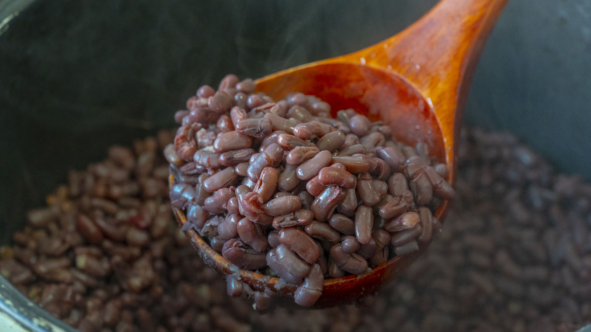 冬季暖胃美食冬后要进补,冬天养生食谱三款进补美食做法