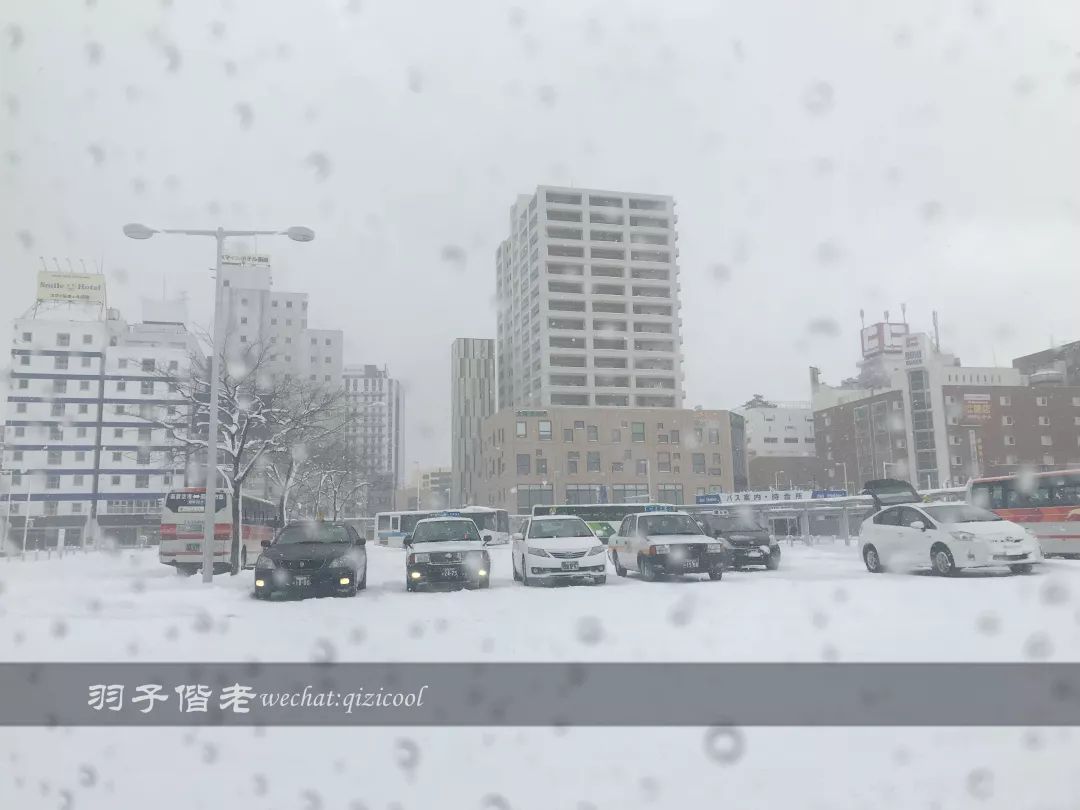 老实说，这一趟北海道就是为了拍好看的照片去的