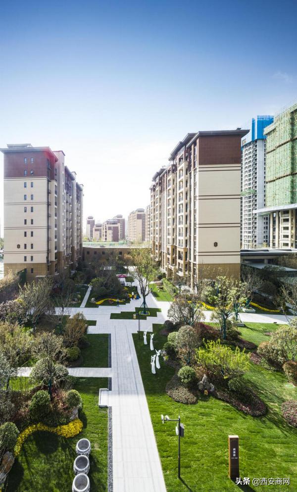 碧桂园“浐灞双星”闪耀||于城市浮尘中筑一处世外桃源