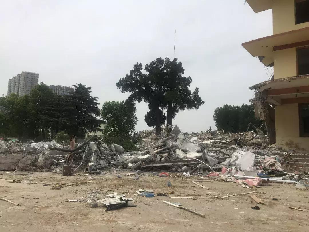 再见了，骨科医院！你好，临沂第十二中学！