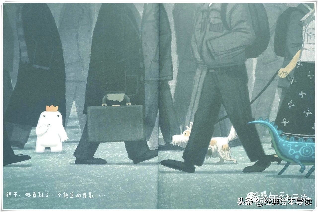 充满勇气的奇妙旅程——《小白找朋友》导读