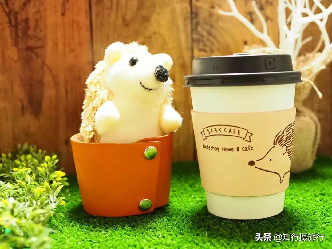 日本“神兽”不只有奈良鹿，日本网红动物主题旅行攻略