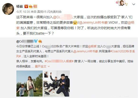 怎么看待蔻驰辱华事件,蔻驰辱华事件始末