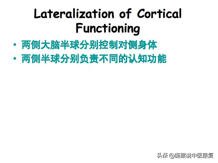 中枢神经系统断层解剖讲解,中枢神经3d解剖动画