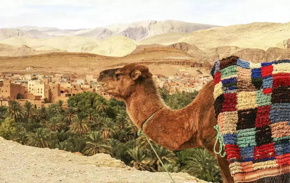 被上帝打翻了调色盘的北非国家，用“冰与火之歌”吸引了全世界！