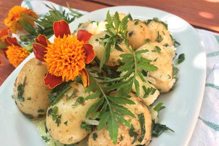 这9种花很常见可赏可吃可饮,秋天可以吃的十种花