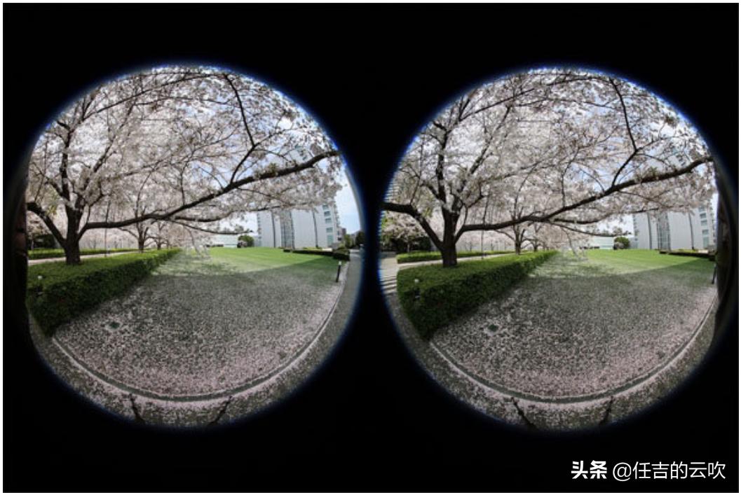 佳能rf双鱼眼,佳能全新双鱼眼镜头