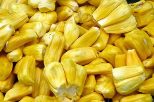 怎么挑选菠萝蜜丝比较少,怎么挑选菠萝蜜绿皮好还是黄皮好