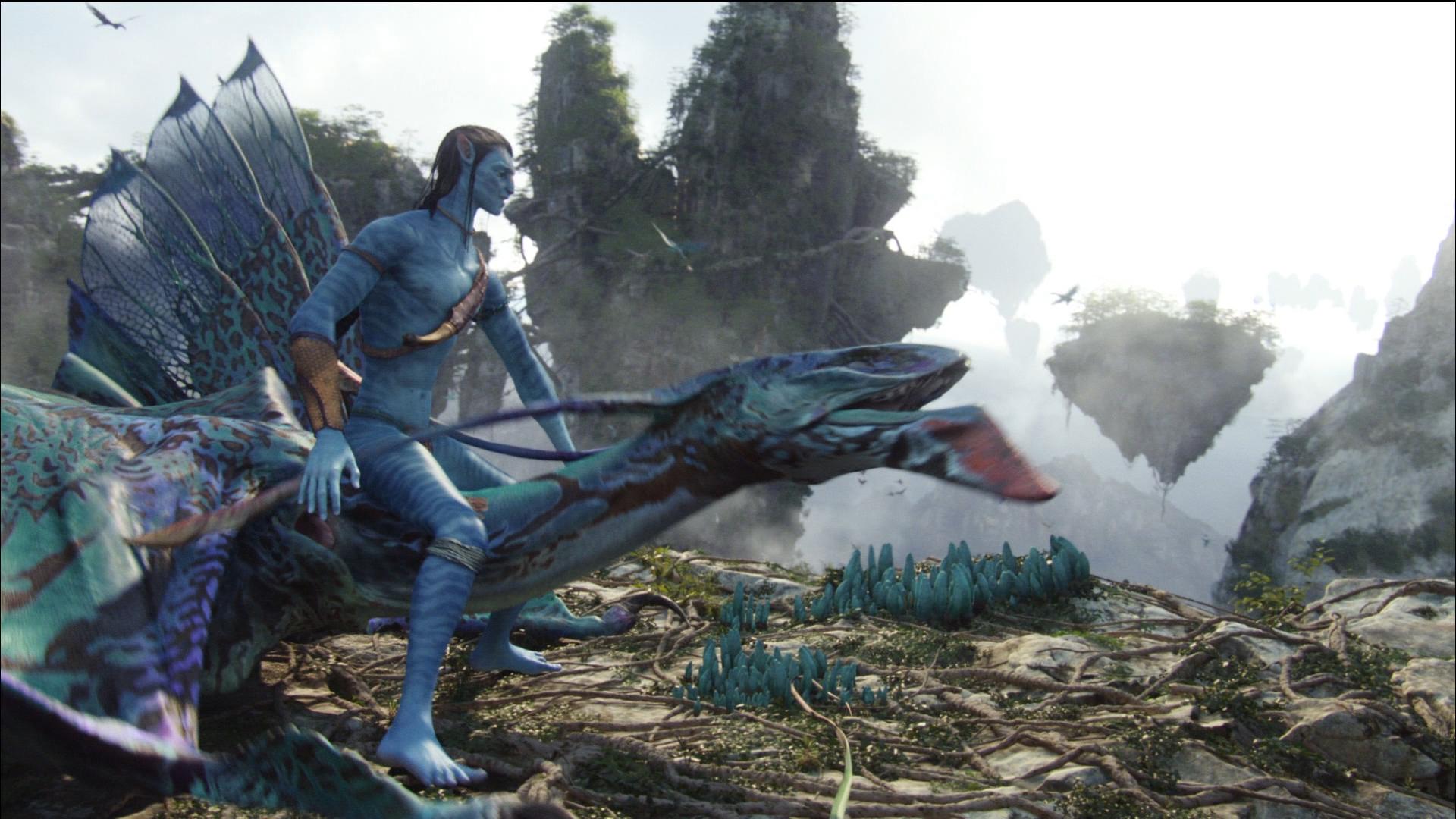 从未被超越完整版,从未被超越