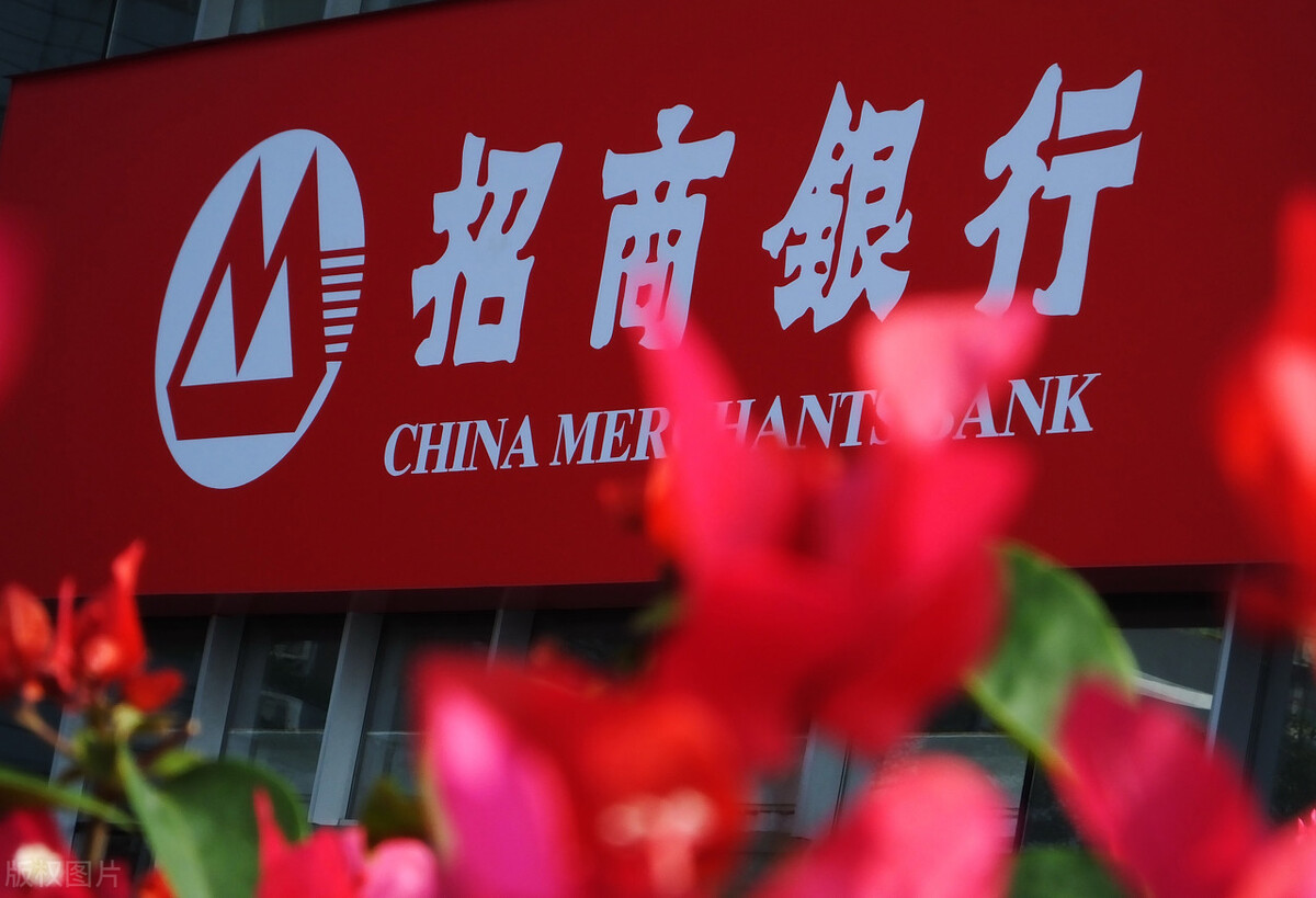 大盘重仓股龙头,外资加仓的自动化龙头