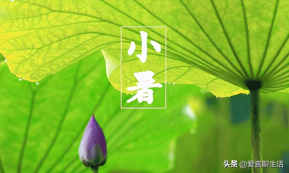 今日小暑吃什么食谱,三伏天饮食菜单推荐8道蔬食