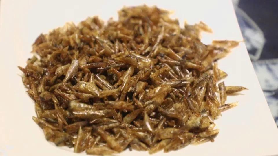 大理好吃的沙坝鱼,大理人都去吃的鱼