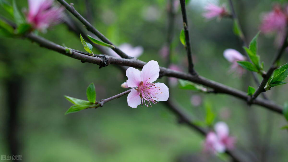 述职报告,转正述职报告