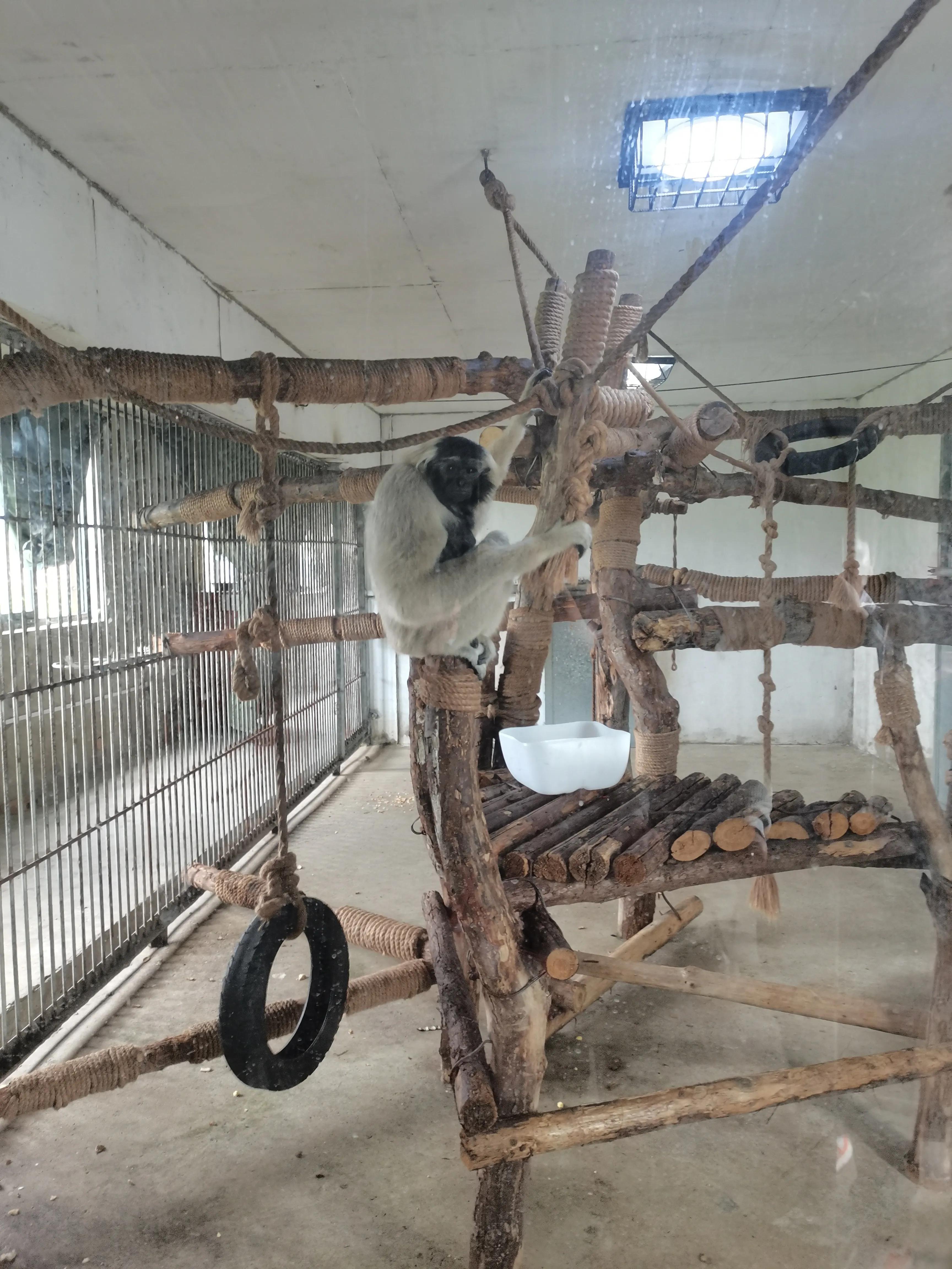 济南野生动物园和宿州野生动物园,宿州野生动物园到宿州皇藏峪