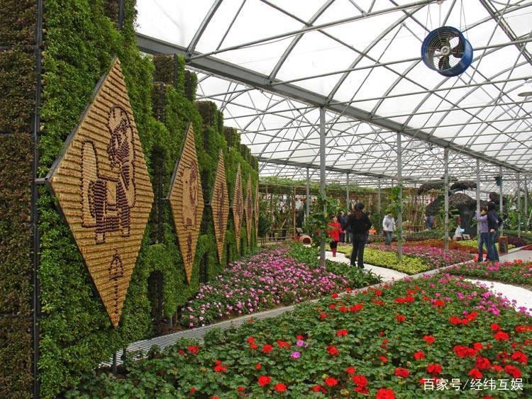 邹平附近好玩的地方,邹平过年好玩的地方