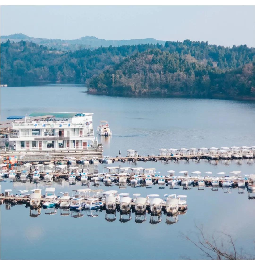 李子柒家乡成旅游景点,李子柒乡愁