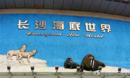 长沙盘小宝亲子乐园适合多大孩子,长沙周末亲子好去处