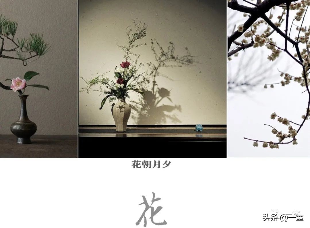 我在PPT中加上概念分析图，方案就通过了？