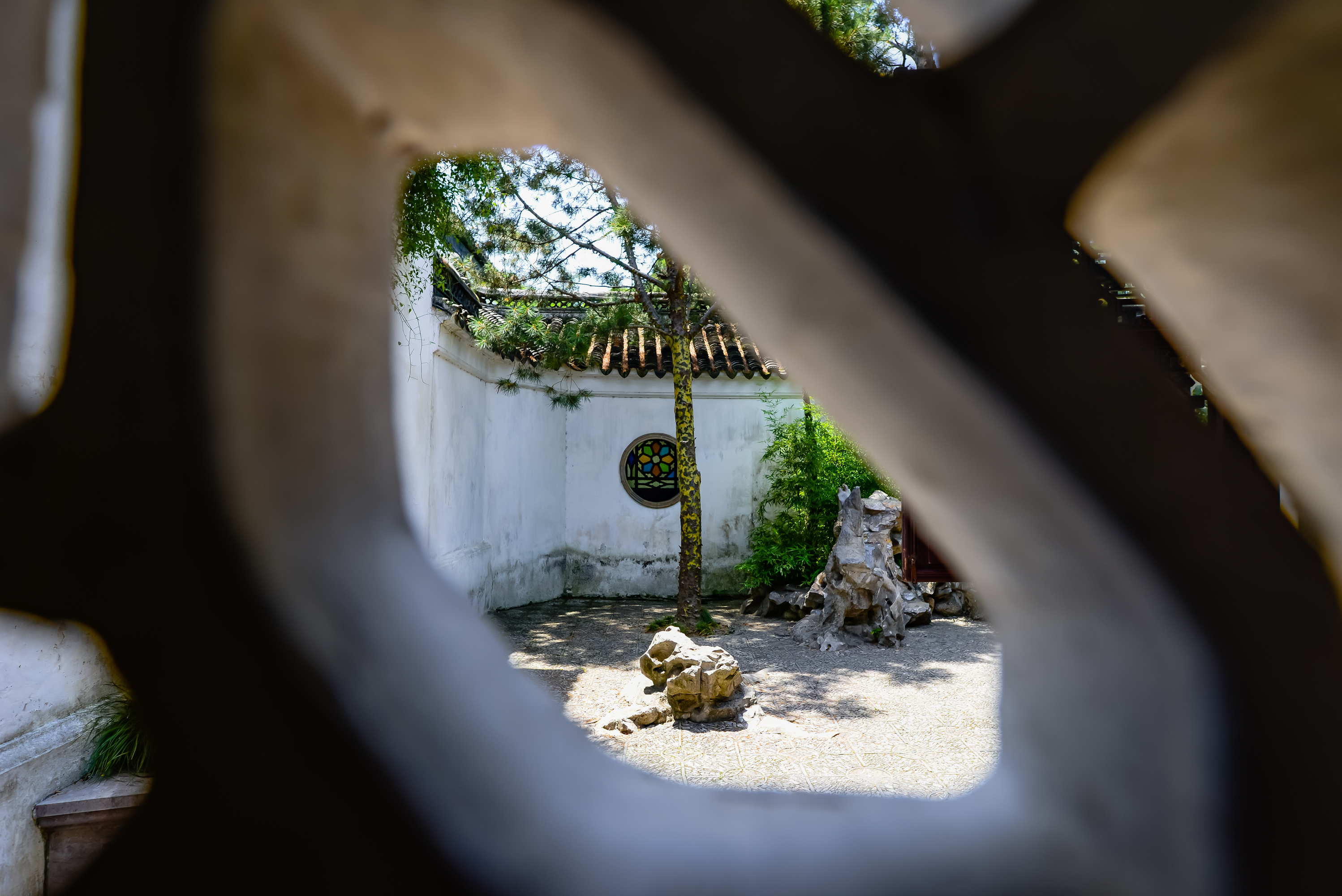 必去的苏州十大最美园林,苏州园林和苏州古典园林哪个好