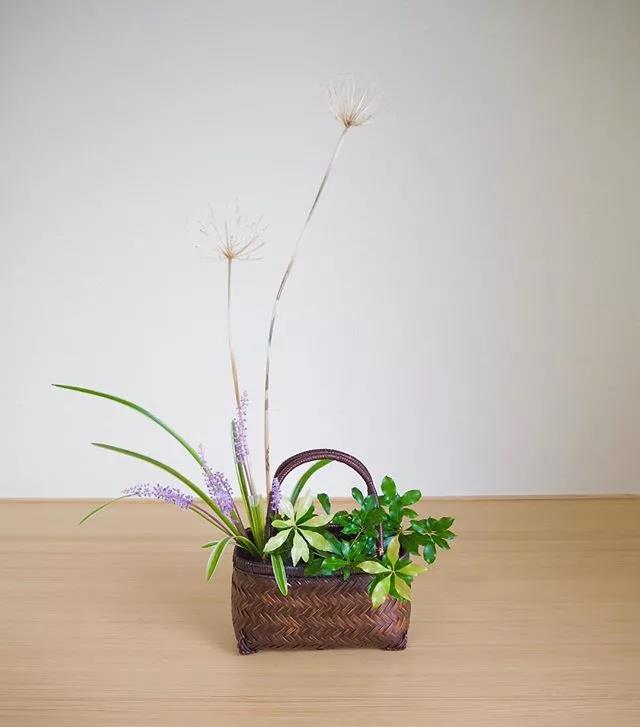 一花一世界一叶一菩提本来无一物,一花一世界一叶一菩提一场梦