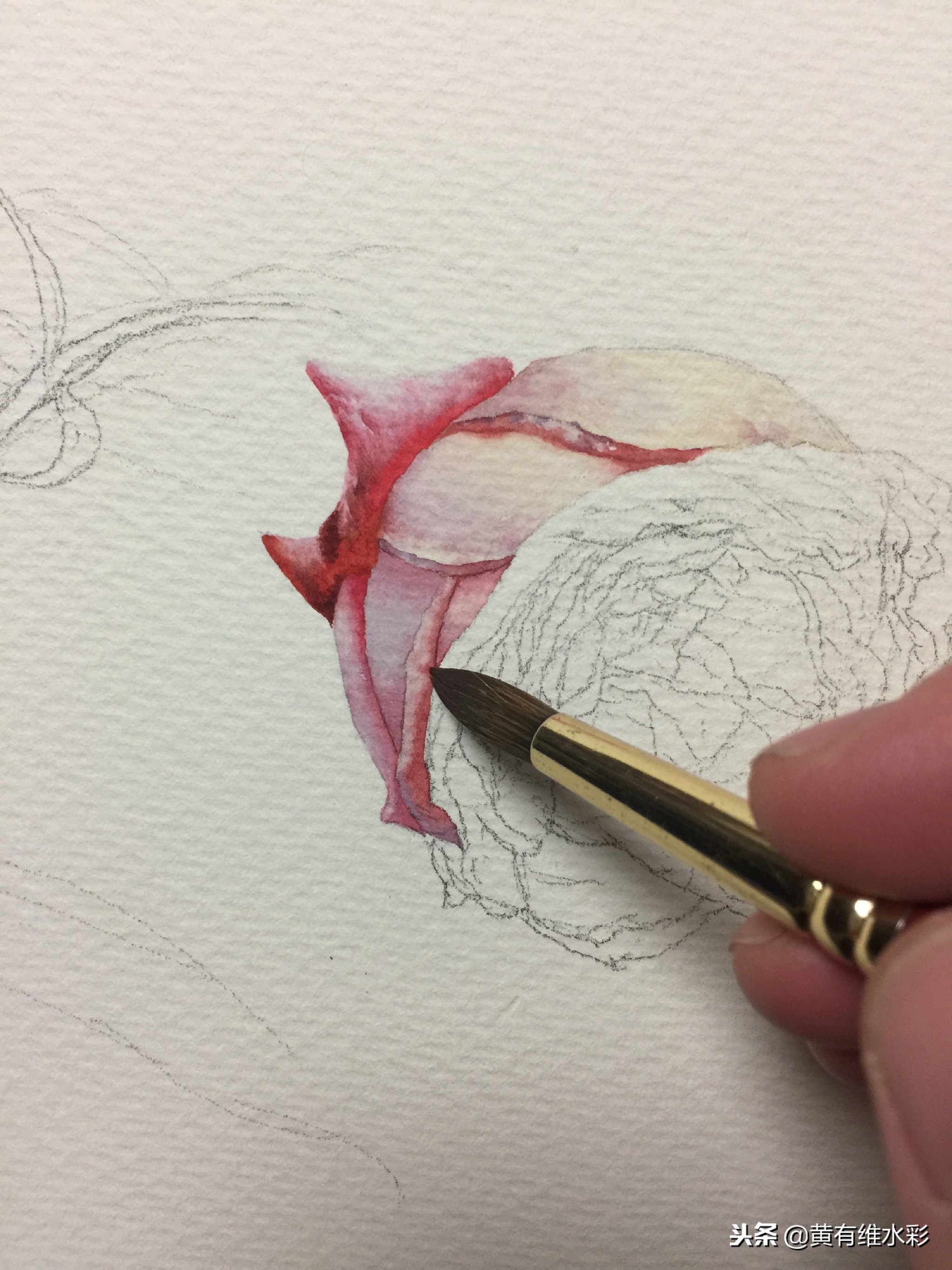 水彩教程简单好看手绘图片,水彩教程画花