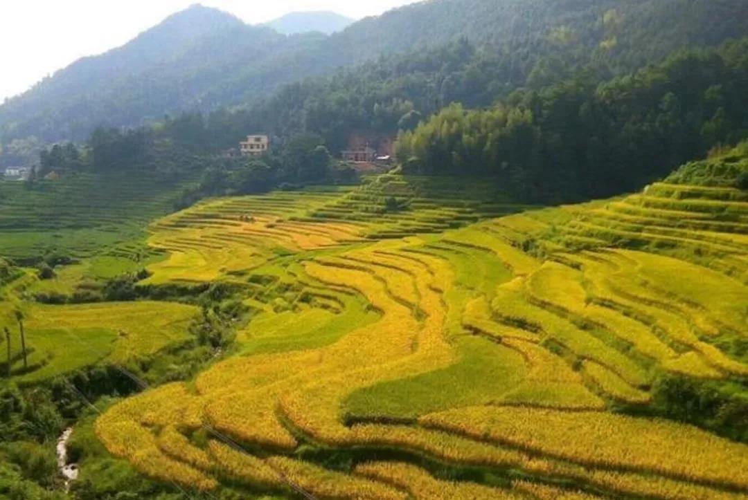 国内100条精华自驾路线地图攻略,江西旅游一条线攻略