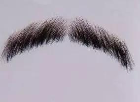 不能说的秘密男女体毛打理指南