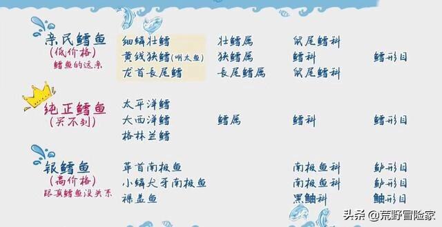 挪威北极鳕鱼属于大西洋鳕鱼吗,探秘挪威鳕鱼