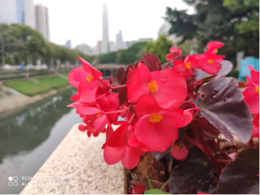 红米k30pro和红米k30pro变焦版,红米k30pro使用体验报告