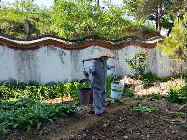 抢抓农时开展农业生产,农民纷纷抢抓春耕生产有利时机