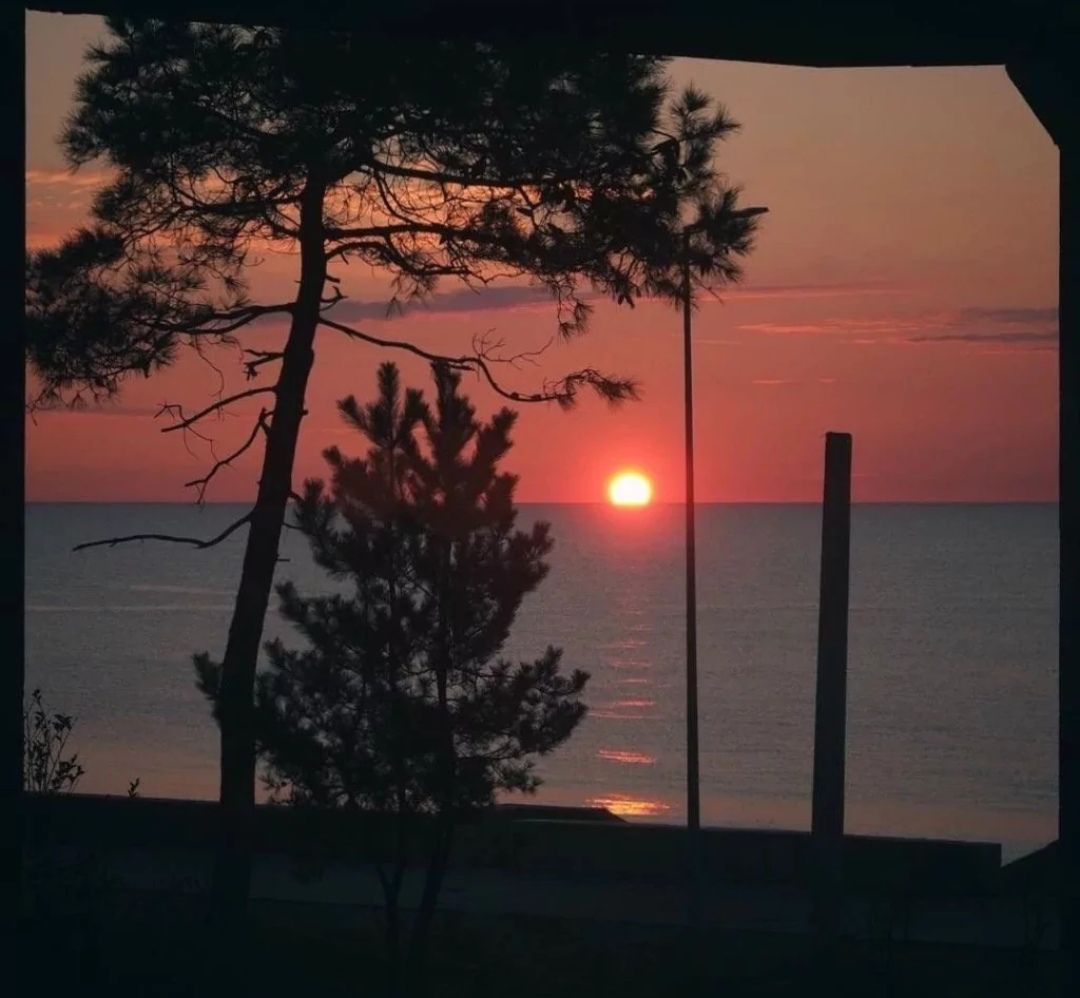 朋友送自己奶茶发朋友圈文案,喝奶茶发朋友圈文案短句可爱