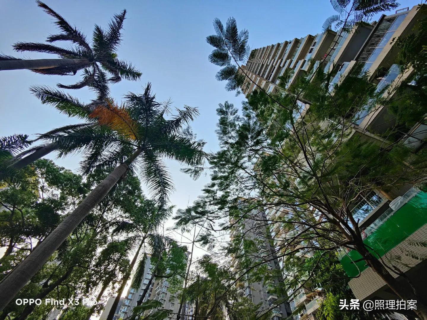 UP主教学如何人肉！一张照片精确定位住址，女生因此遭人身威胁