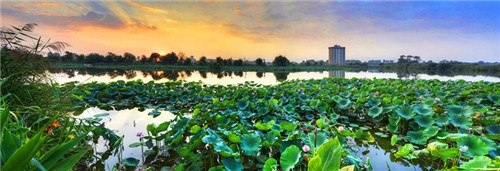 昆明公交更新,昆明更新双层巴士