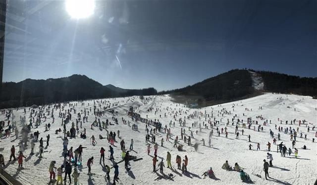 神农架滑雪推荐什么时候去最好,神农架和七星岭滑雪场哪个好玩