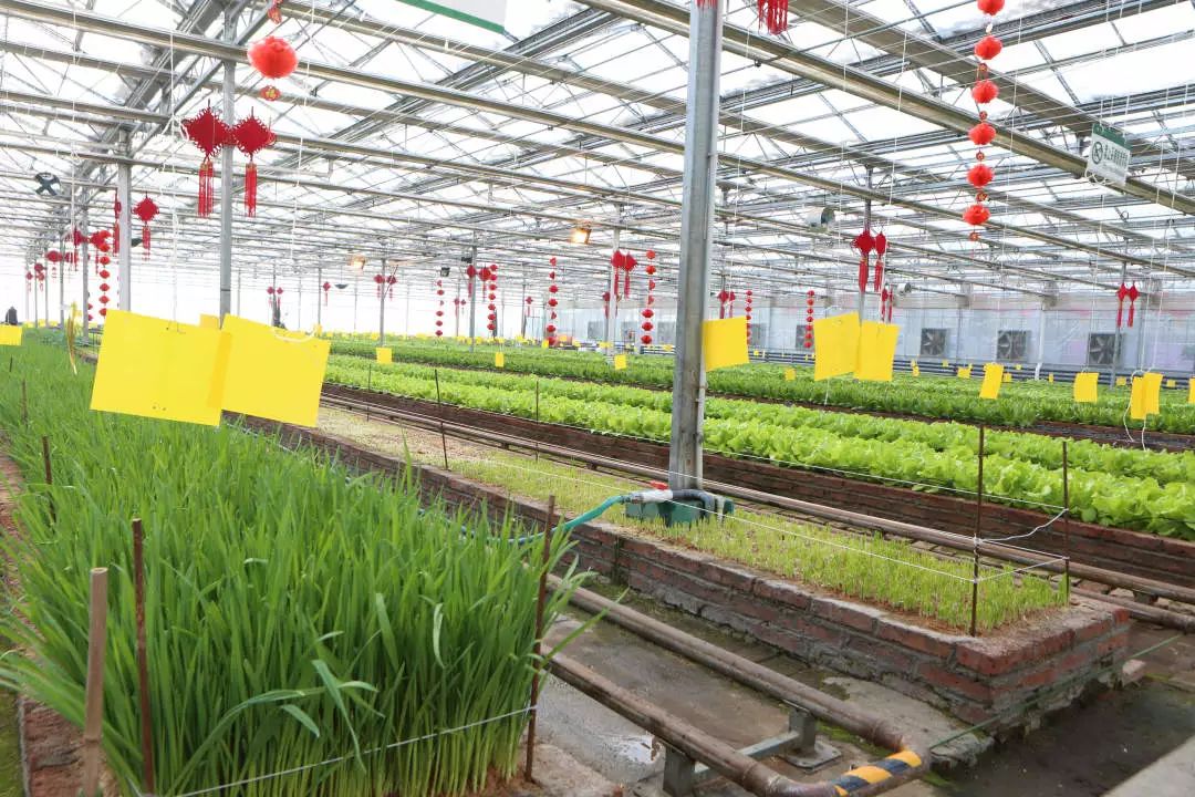 玩转第十八届长春农博会,2019长春冬季农博会票价