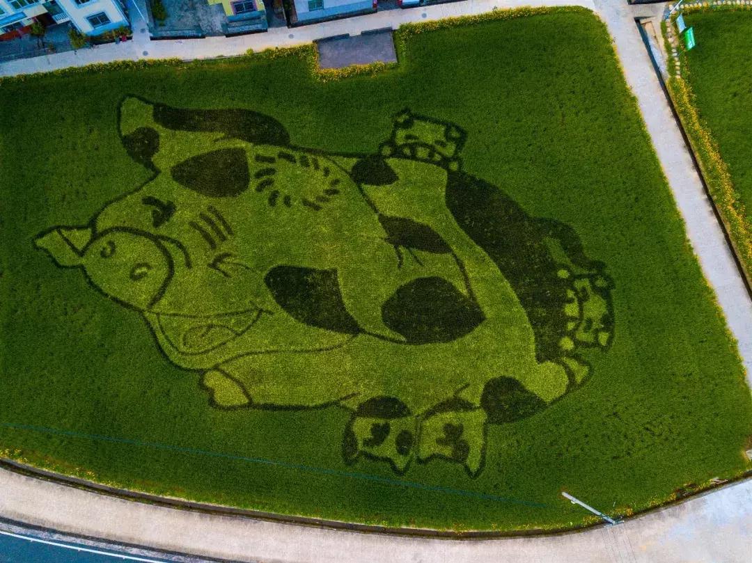 钱塘江出现巨幅画作,钱塘江大潮图片绘画