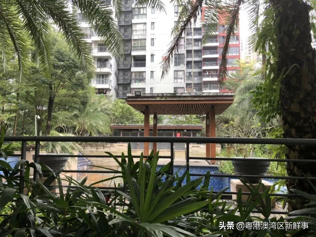 宀佹湀闈欏ソ澶氬Э澶氬僵,鑺辨牱骞村埆鏍峰煄娲嬫埧