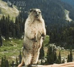 指南者留学学员揭秘：去了英国才知道的30件小事