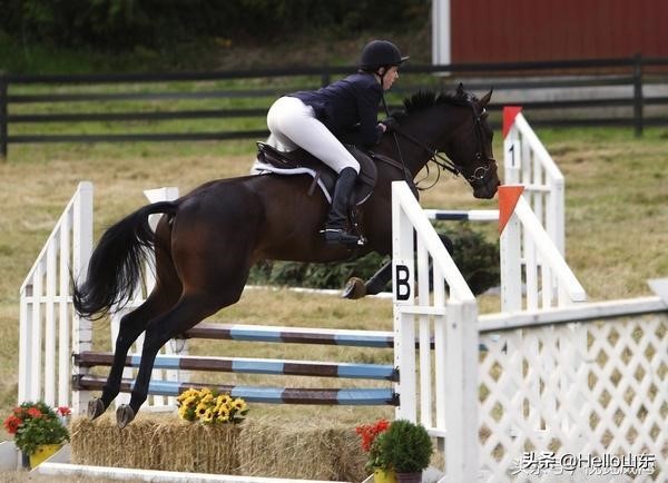 有一种生活叫那香海，那里是真的美！