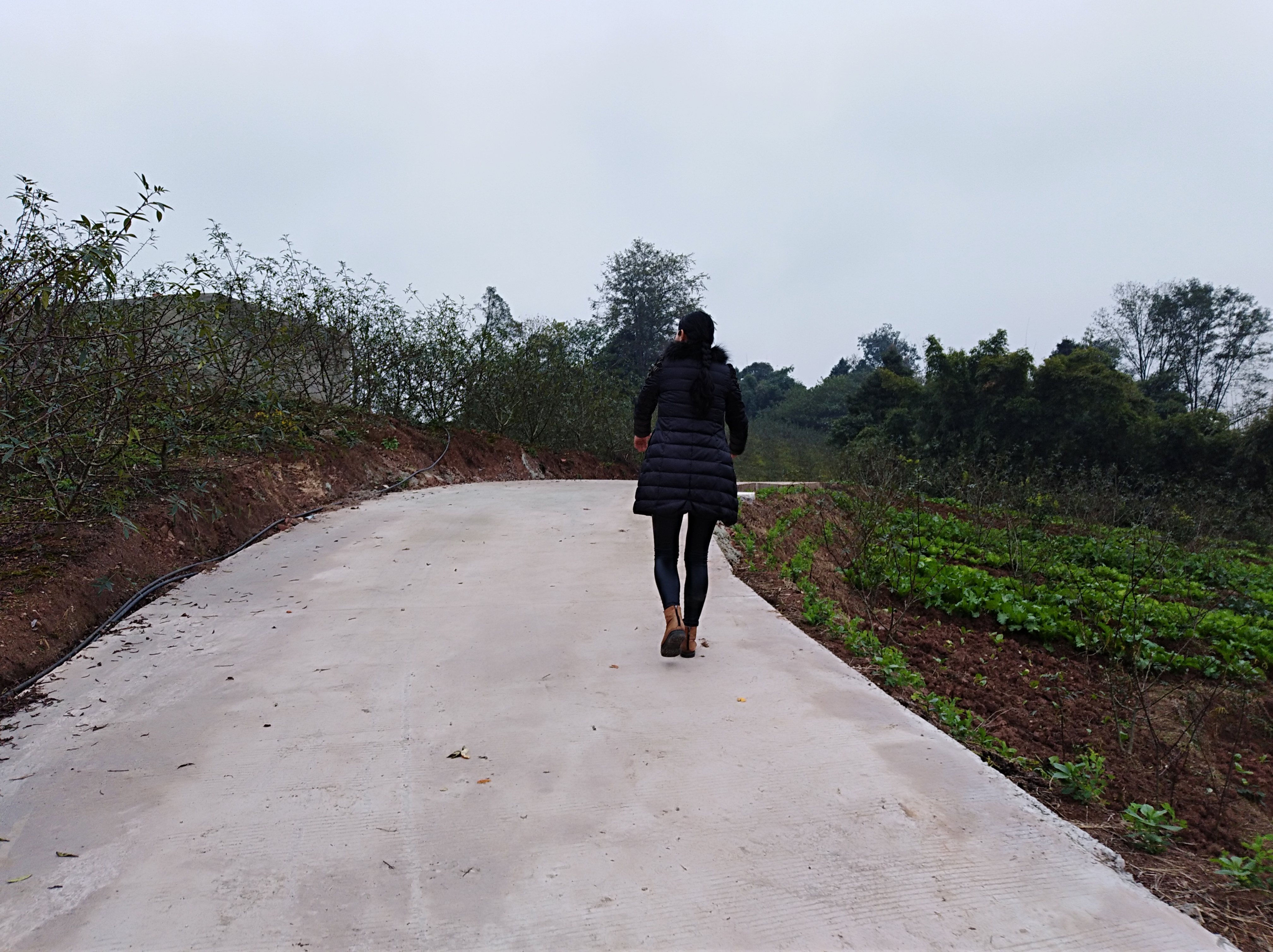 农村创业没钱没项目怎么办,农民创业没钱没地怎么创业