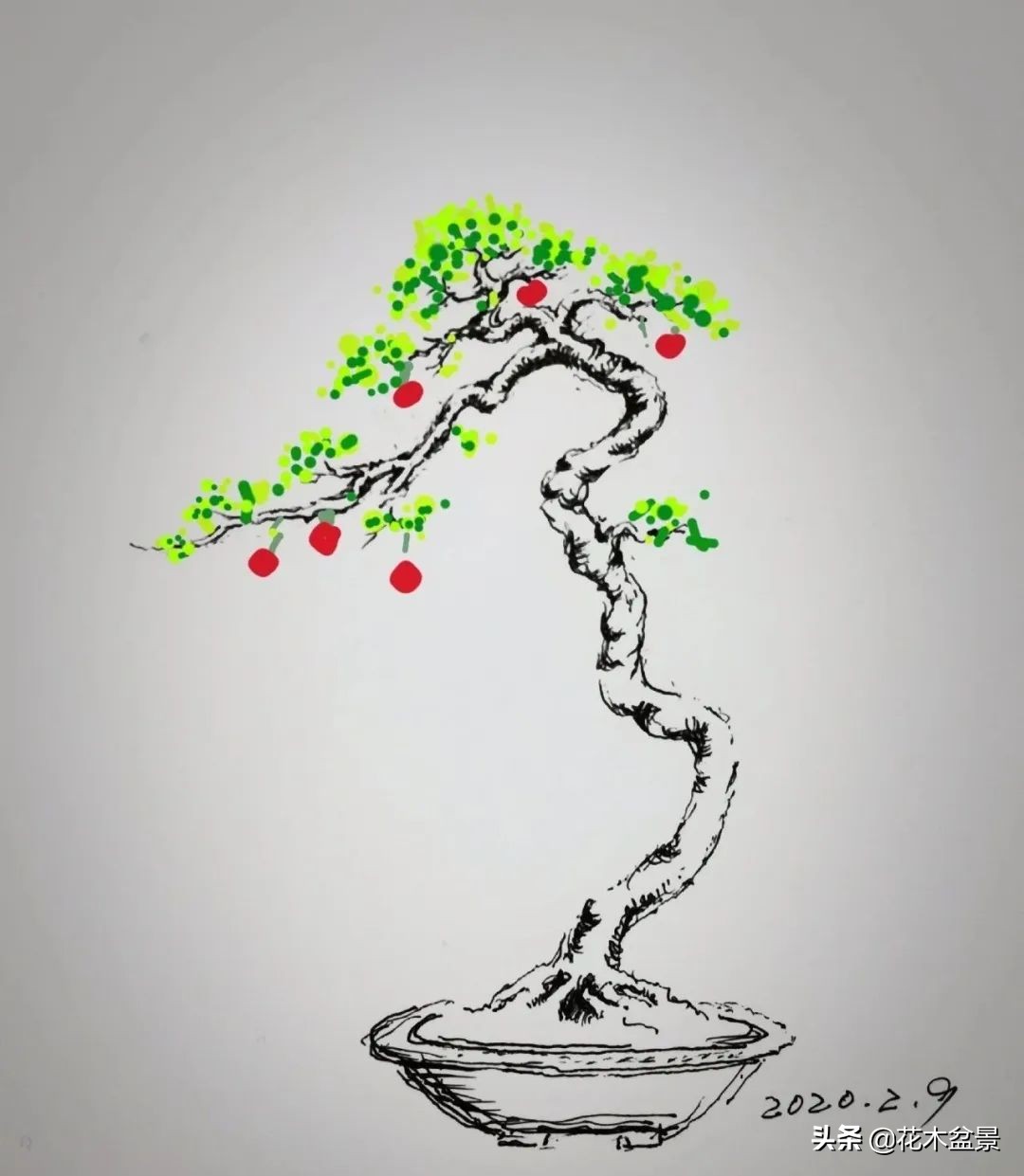 疫情对花艺行业有什么影响,疫情期间盆景怎么处理最好