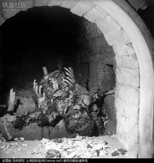 恐怖的纳粹*党**卫军和秘密警察