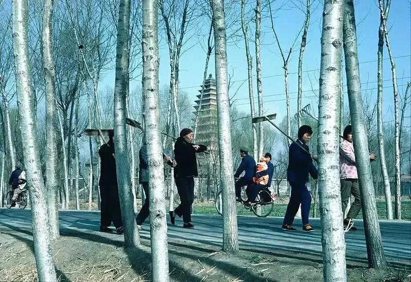 母亲讲“你要替我写本书”——男性力量在家庭中的缺失（连载4）