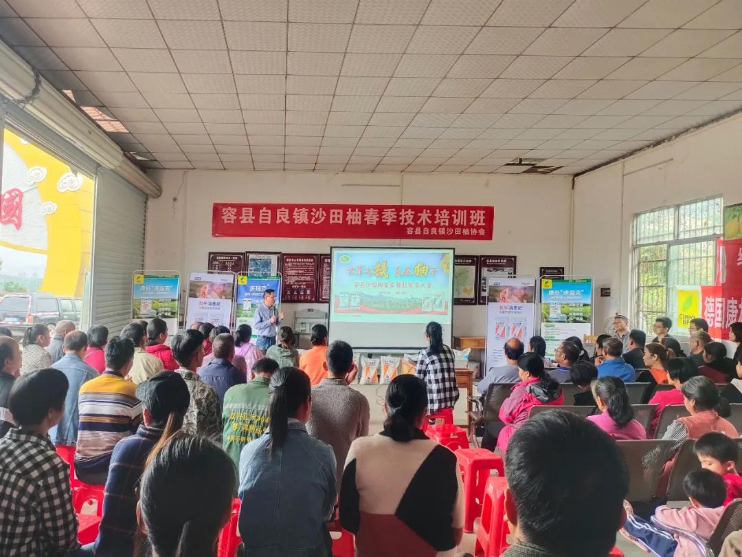 广西容县自良镇沙田柚种植户,广西容县自良镇沙田柚商会会长