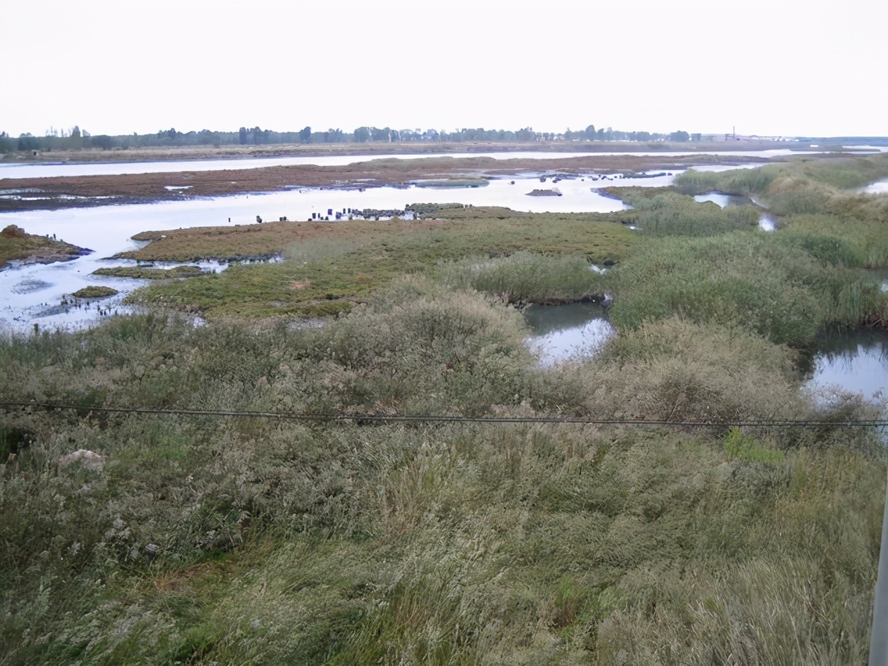河北昌黎翡翠岛攻略,昌黎黄金海岸游记