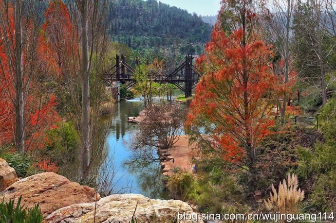 看完耶路撒冷的感受,耶路撒冷到底有多美