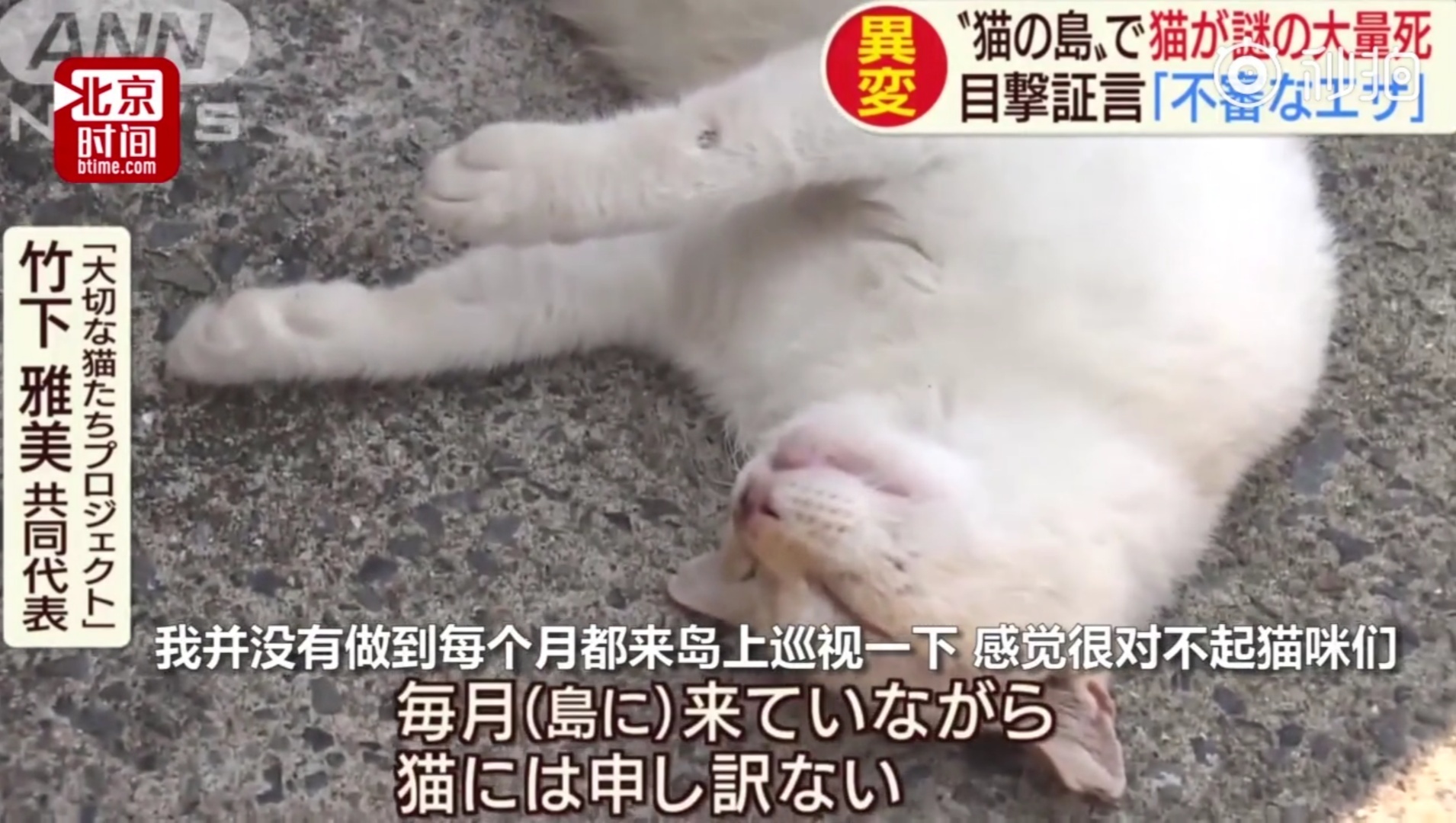日本猫岛被投毒后现状,日本猫岛遭人投毒