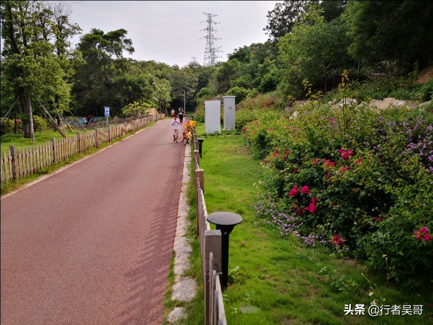 泉州大坪山线绿道（泉州版山海健康步道）