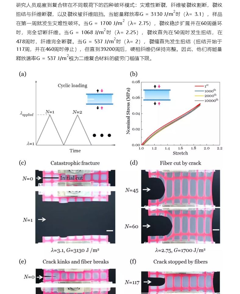 从聊城二中到西安交大再到北大哈佛——聊城二中优秀校友代表唐敬达同学风采