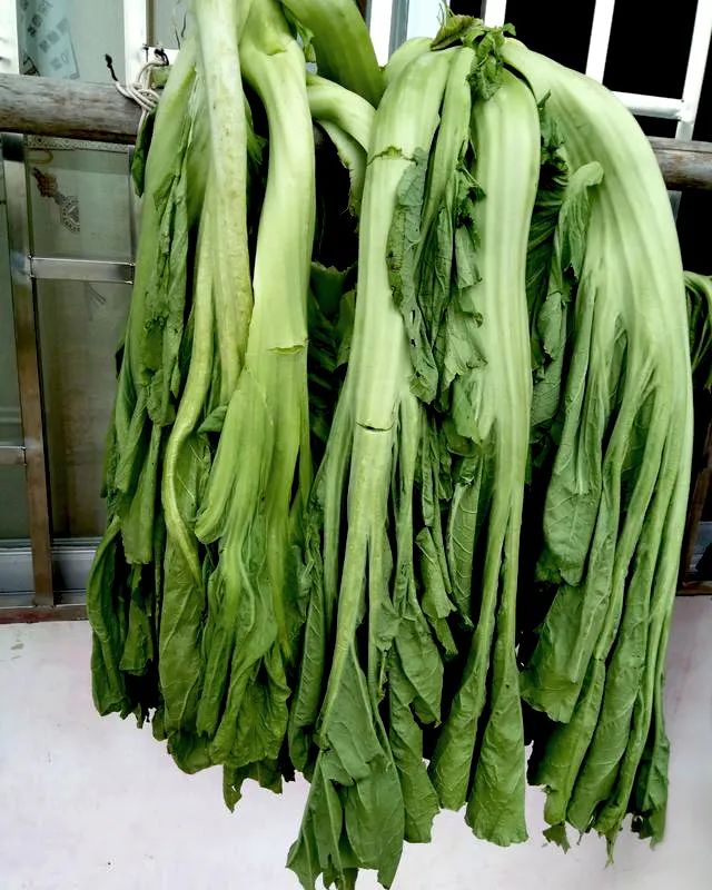 芥菜凭一己之力撑起了川人四季的蔬菜配额